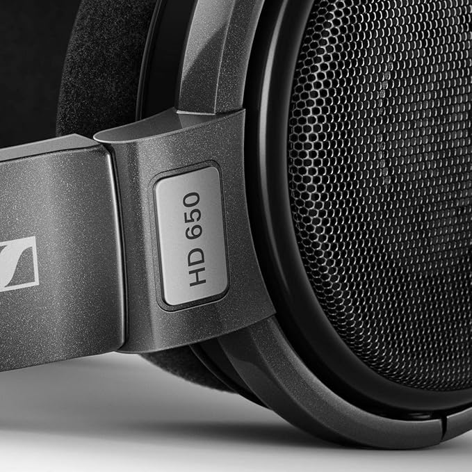 Sennheiser Consumer Audio HD 650 - Audiophile Hi-Res Open Back Dynamic Headphone, Titan