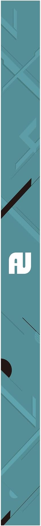 auaua Case for iPad (A16) 11th Generation 11 Inch 2025, iPad 10th Generation 10.9 Inch 2022, with Pencil Holder and Pocket, Typing Angle Muti-Stand Magnetic Closure Auto Sleep/Wake (Brown)