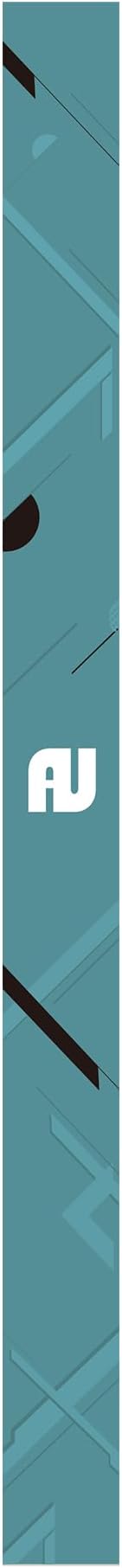 auaua Case for iPad (A16) 11th Generation 11 Inch 2025, iPad 10th Generation 10.9 Inch 2022, with Pencil Holder and Pocket, Typing Angle Muti-Stand Magnetic Closure Auto Sleep/Wake (Brown)