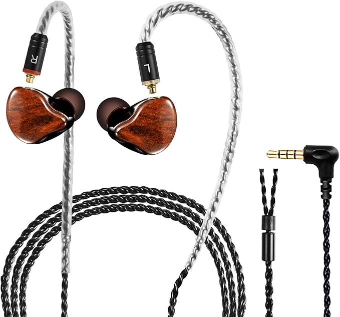 in Ear Monitor Headphones, HiFi Stereo IEM Earphones, Dynamic Dual Driver Wired Earbuds with Detachable Cable, Noise Canceling Headset for Singers Musicians Drummers Audiophile (Wood Grain)