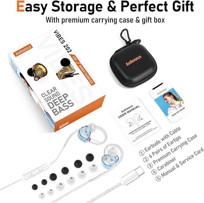 Vibes 202MC USB-C Wired Earbuds - HiFi in Ear Monitor Headphones - Noise Isolating Ear Buds w/ Mic - Clear Sound, Deep Bass & Comfort-Fit Earphones - MMCX to USBC, Silver Plated Cord, Carrying Case