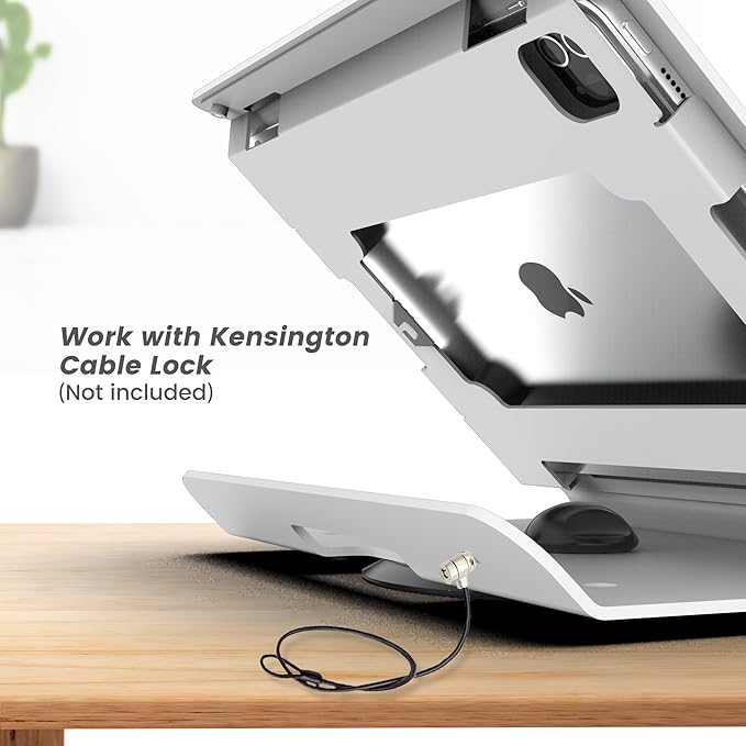 Tablet POS Stand - Heavy Duty Steel Kiosk Stand with 360° Swivel Base Anti-Theft Compatible with 10.9" iPad 10th, Pro 11" 1 2 3 4, Air 4 5, Air 11", iPad 11"(A16) - BSC102WA