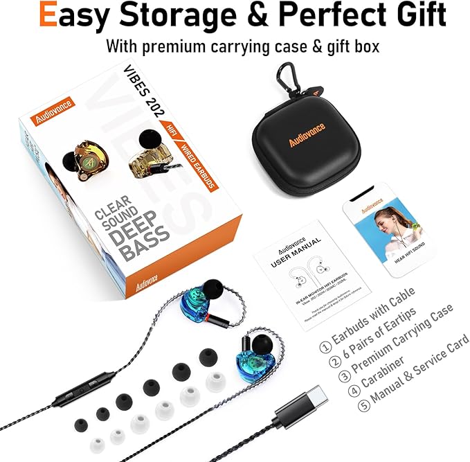 Vibes 202MC USB-C Wired Earbuds - HiFi in Ear Monitor Headphones - Noise Isolating Ear Buds w/ Mic - Clear Sound, Deep Bass & Comfort-Fit Earphones - MMCX to USBC, Silver Plated Cord, Carrying Case